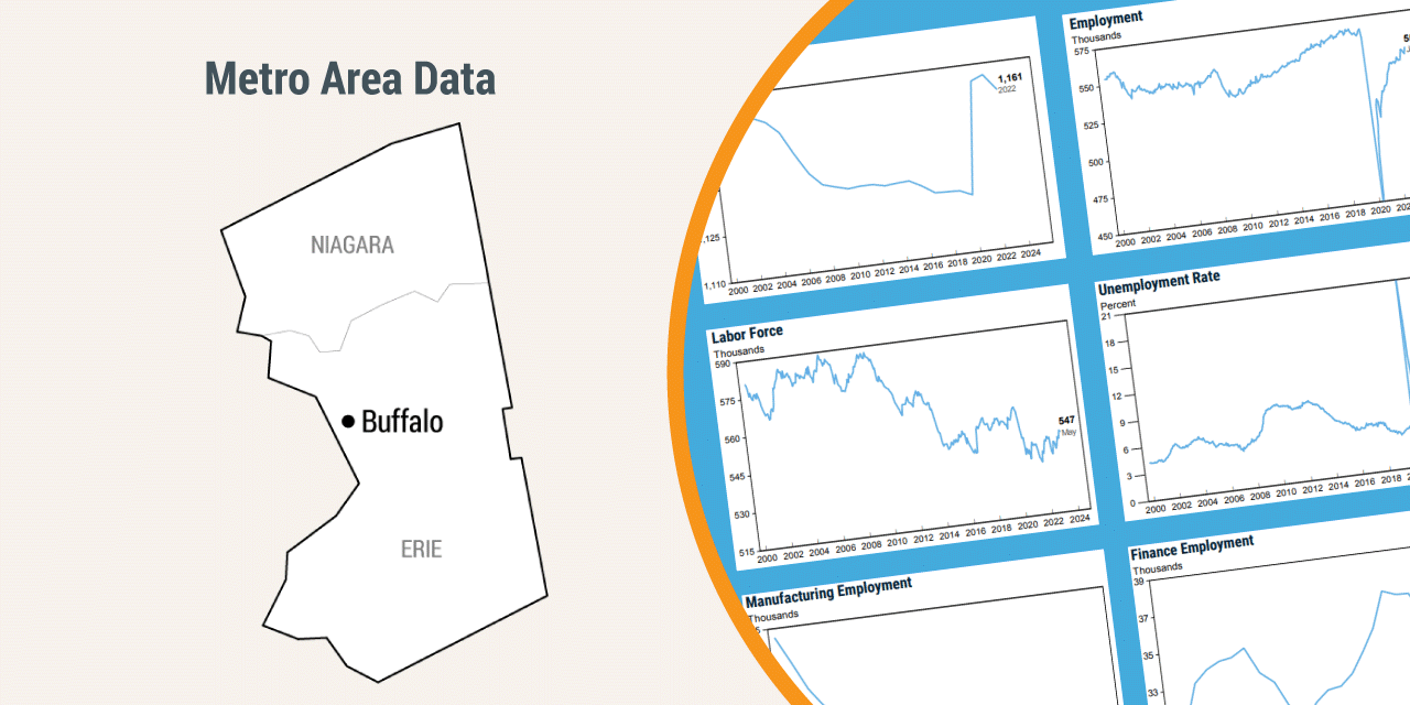 Buffalo Metro Area