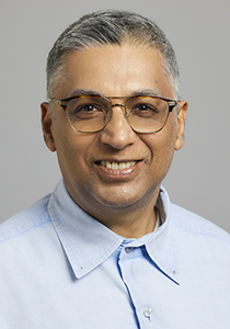 Sarkar, Asani